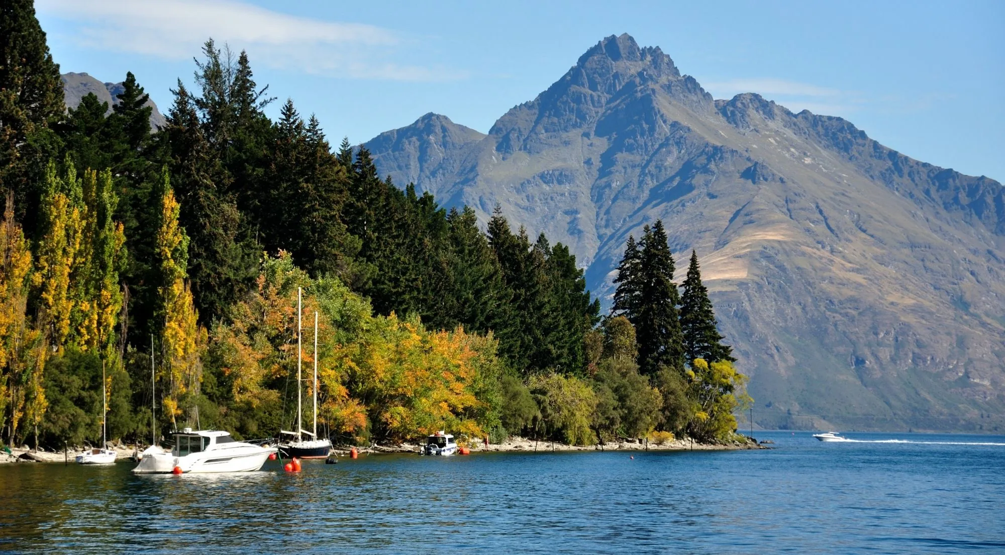 Yachts moored off a wooded shore on Lake Wakatipu below a bare rock peak