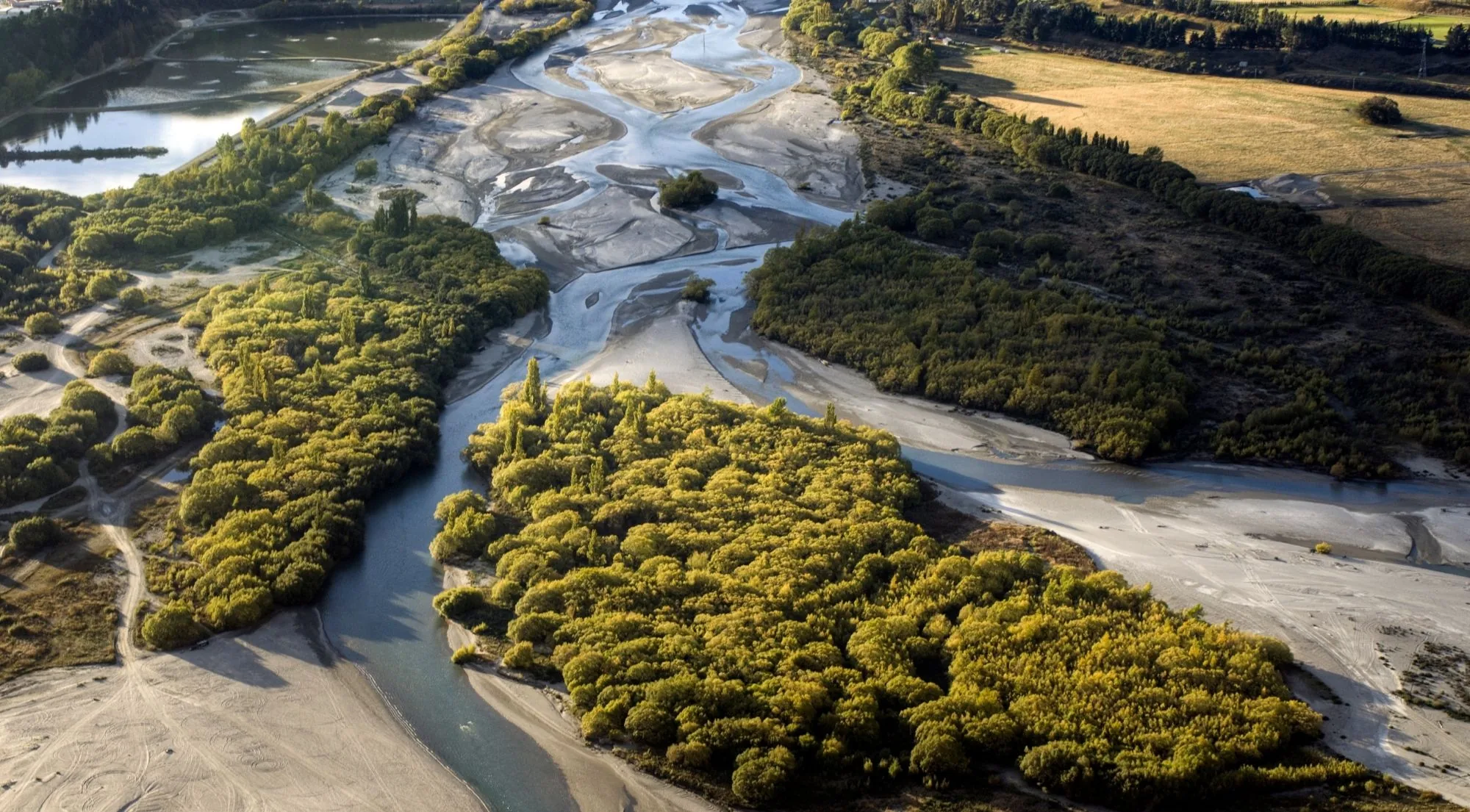 Aerial view of a braided river delta threading between banks of scrub