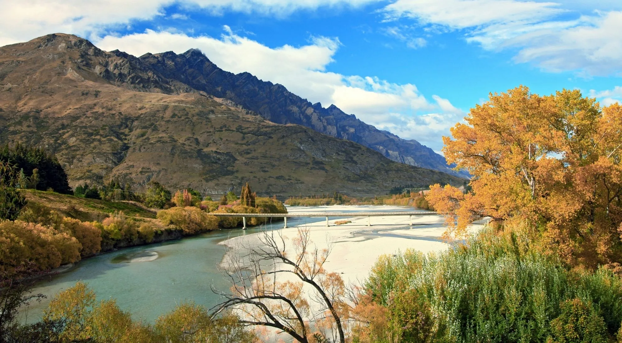 A river valley with an autumn poplar in full colour and dry mountains behind