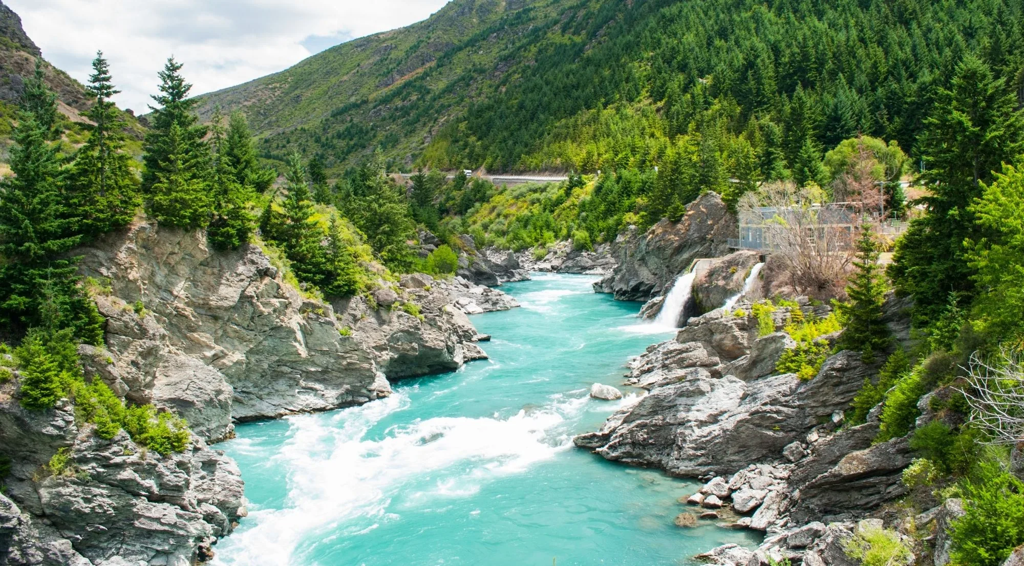 A turquoise river running through a rocky gorge lined with pines and tussock