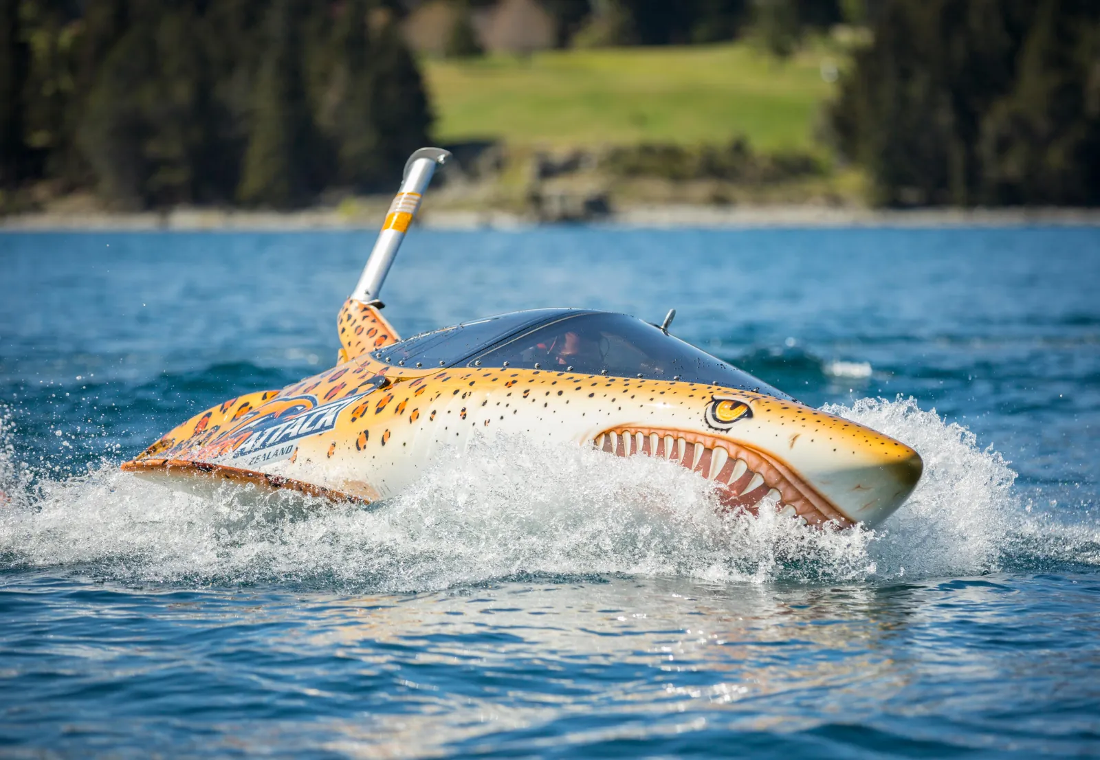 The shark-shaped craft skimming the lake surface with its dorsal fin up
