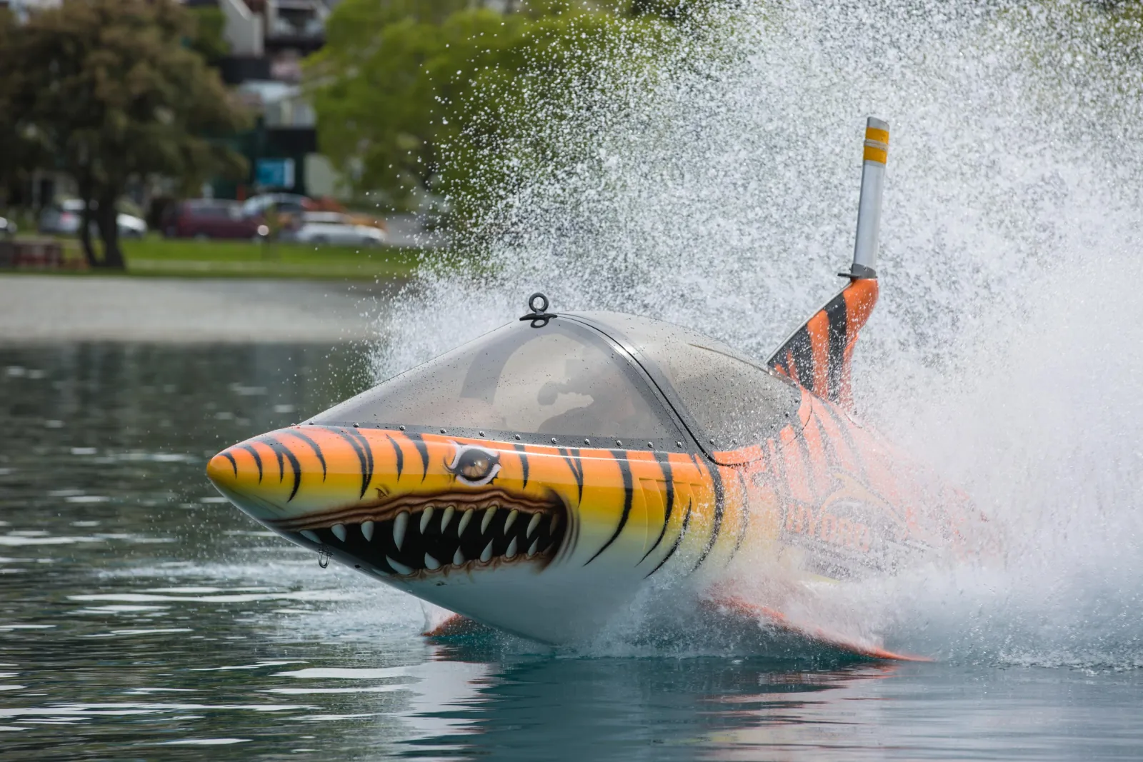 The craft breaching out of the water in front of a lakeside lawn