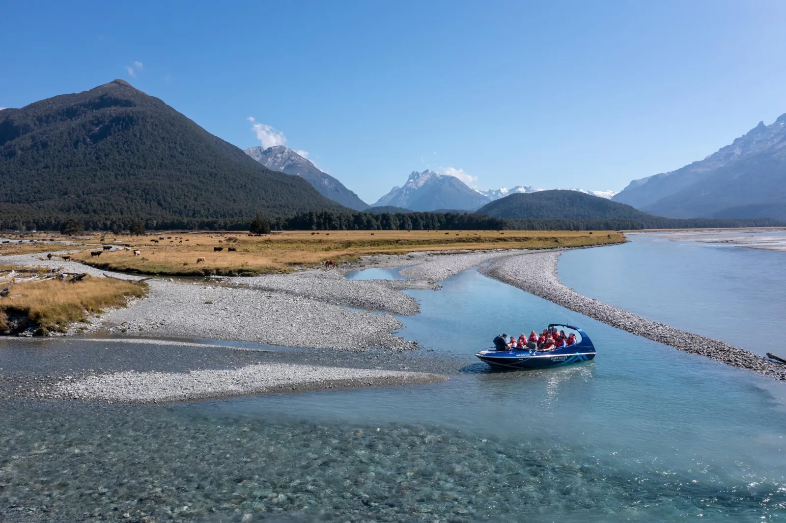 A dark blue Dart River jet boat on a braided channel below snow-streaked peaks