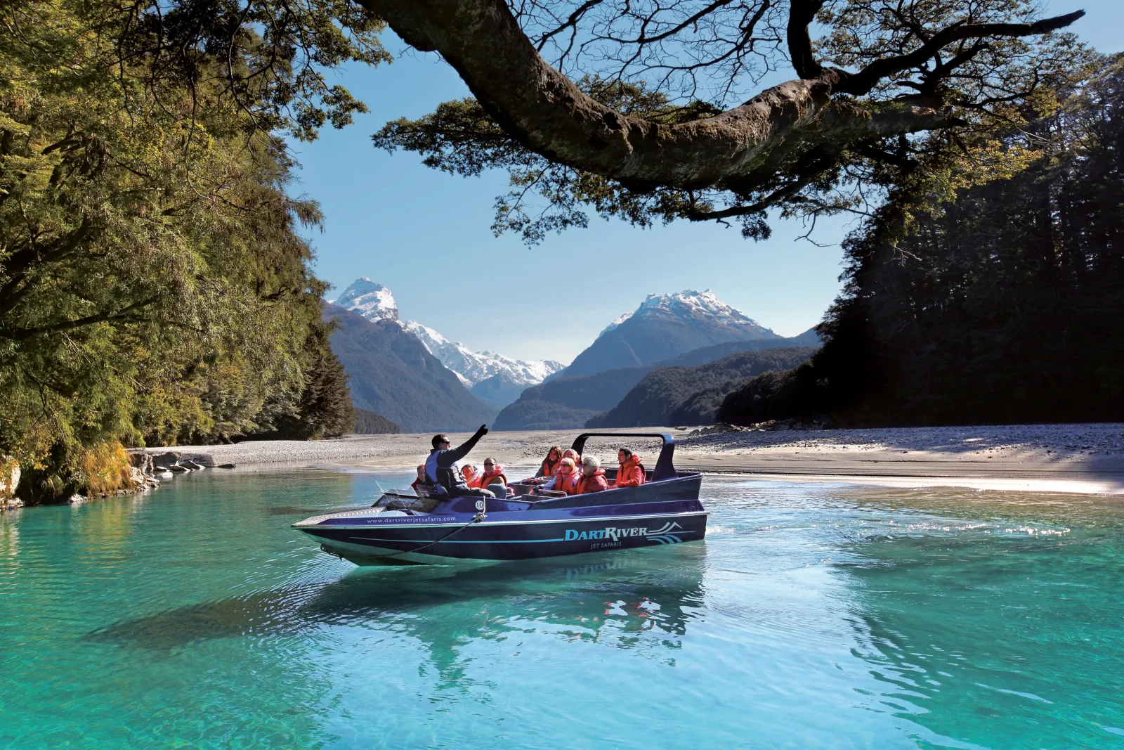 A jet boat idling on glassy water beneath an overhanging beech branch